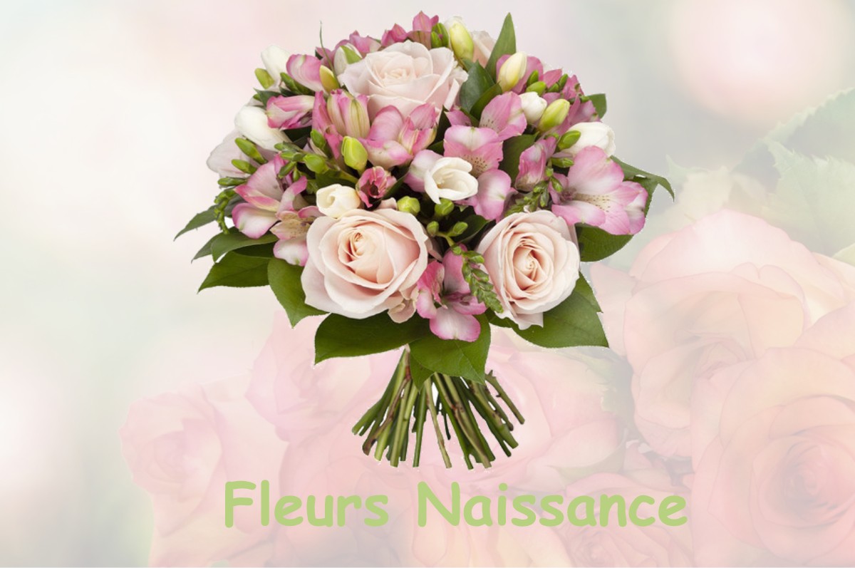 fleurs naissance NOUSSEVILLER-SAINT-NABOR